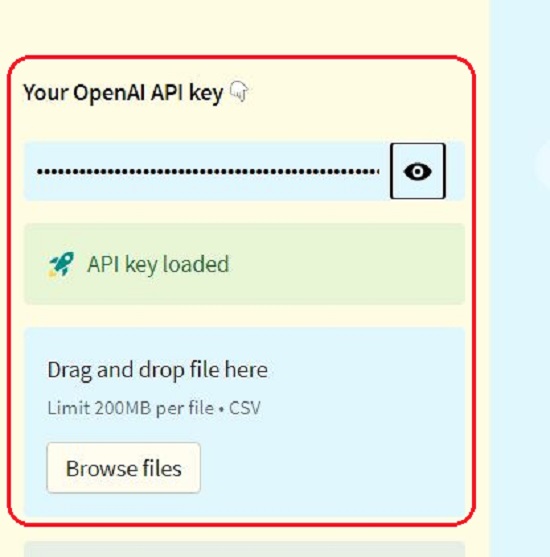 Paste Open AI API key