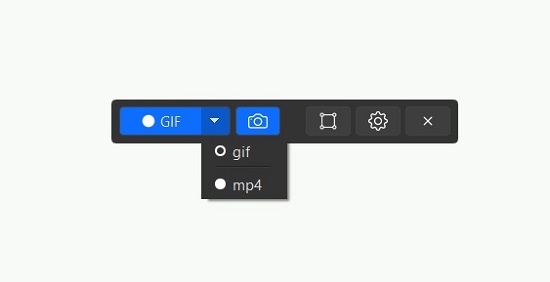 Select recording format