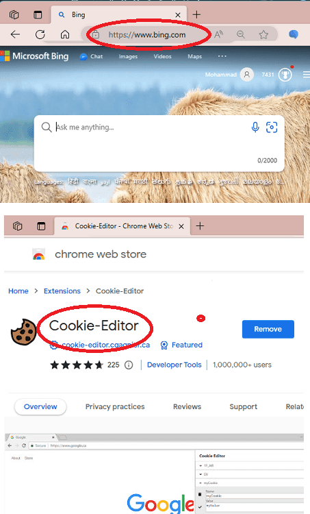 Cookie Editor and Bing Website