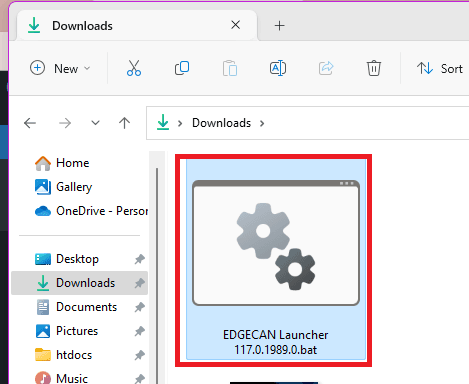 Edge Shortcut in Downloads Folder