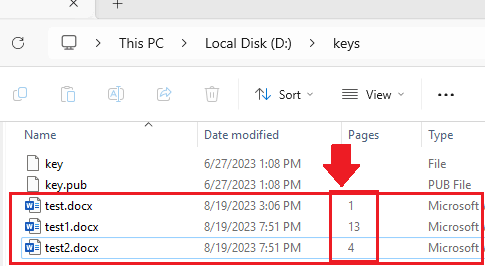 Pages Enabled in Explorer