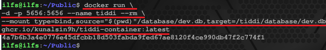 Tiddi Run Docker Container