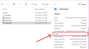 Windows Details Pane Showing Pages