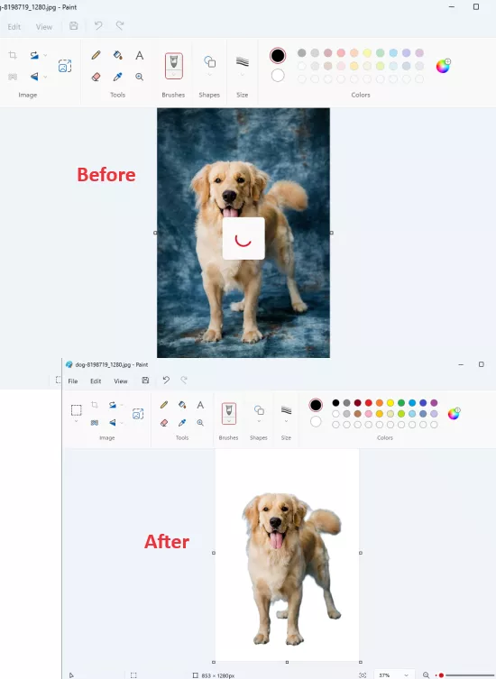 How to Remove Background from Photos using AI in MS Paint