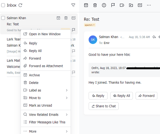 Lark Email Options