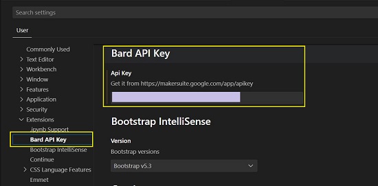 Paste API key