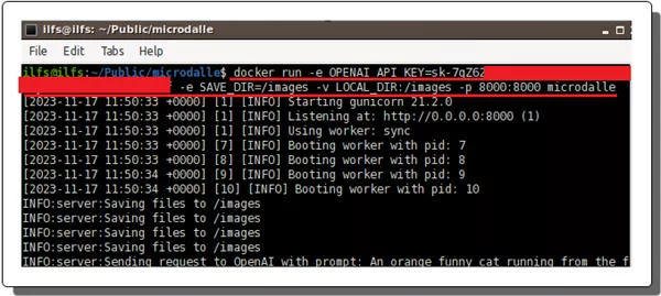 Docker Run MicroDallE
