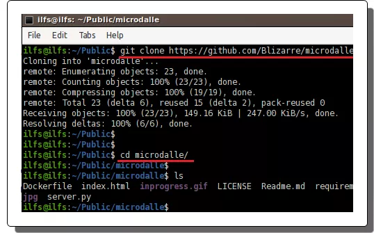 Git clone MicroDallE