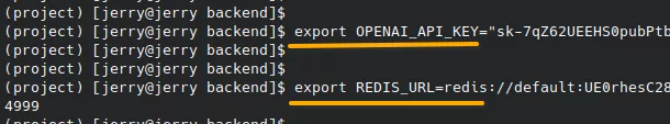 OpenGPT set api key and redis