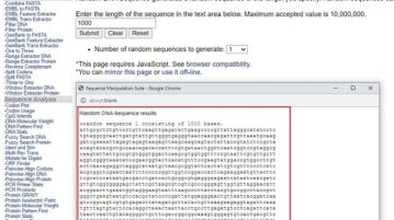 Random DNA sequence generator from bioinformatics