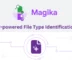 Free AI-powered File Type Identification Tool by Google: Magika