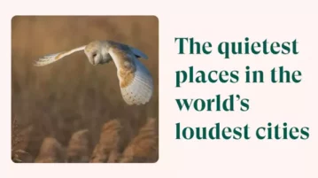 Free Website to Find Quietest Places in Loudest Cities