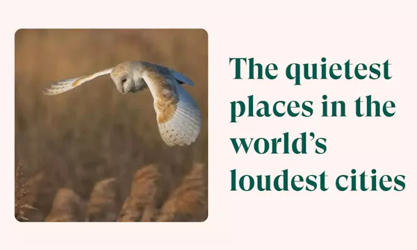 Free Website to Find Quietest Places in Loudest Cities